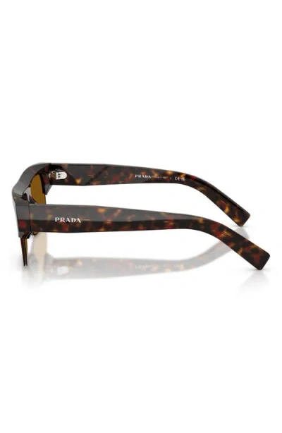 Prada 55mm Rectangular Sunglasses In Brown