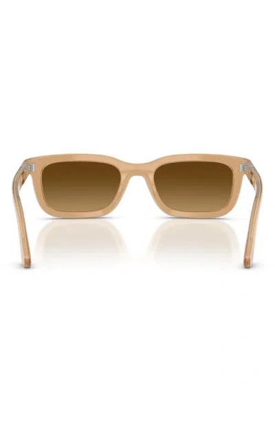 Persol 53mm Rectangular Sunglasses In Brown