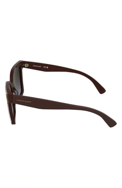 Longchamp Roseau 55mm Modified Rectangular Sunglasses In Brown