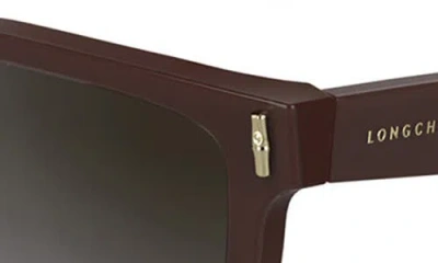 Longchamp Roseau 55mm Modified Rectangular Sunglasses In Brown