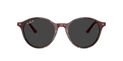Ray Ban Ray In Brown