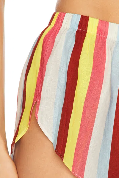 Solid & Striped The Lester Shorts In Multi