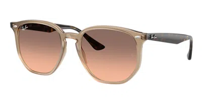 Ray Ban Ray In Brown