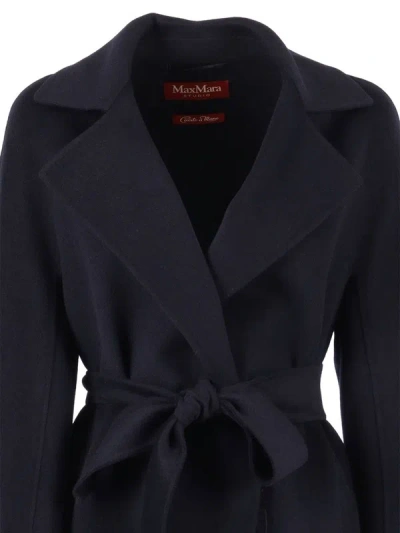 Max Mara Long Sleeve Coat In Blue
