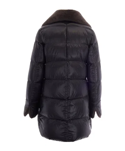Herno Collared Padded Jacket In Black