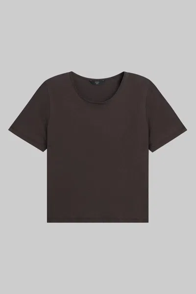 Leset Milo Tee In Brown