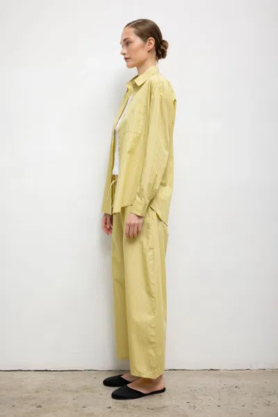 Leset Pre-order: Yoshi Stripe Classic Oversized Button Down In Multi
