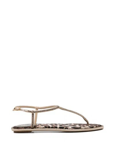 René Caovilla Brown Leopard Print Slippers In Brown