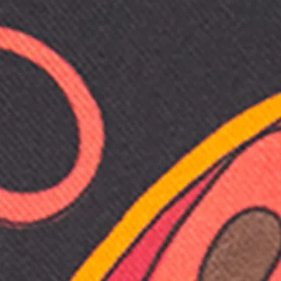 Pucci Silk Printed Scarf
