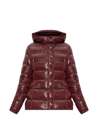 Moncler Multicolor Goose Down Full-length Jacket In Brown
