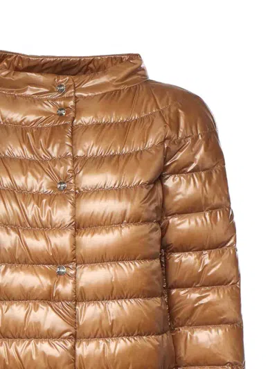 Herno Nylon Down Jacket In Brown