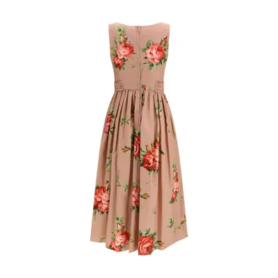Dolce & Gabbana Cotton Sleeveless Boat Neck Floral Print Midi Dress In Animal Print