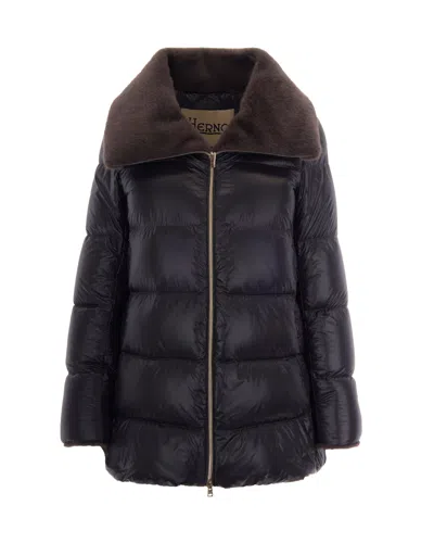 Herno Collared Padded Jacket In Black