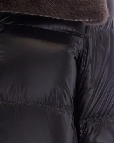 Herno Collared Padded Jacket In Black