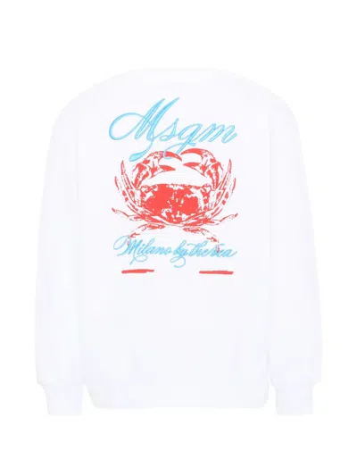 Msgm Crab-print Sweatshirt In Multi