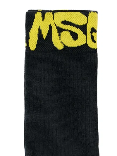 Msgm Logo-intarsia Knit Socks In Black
