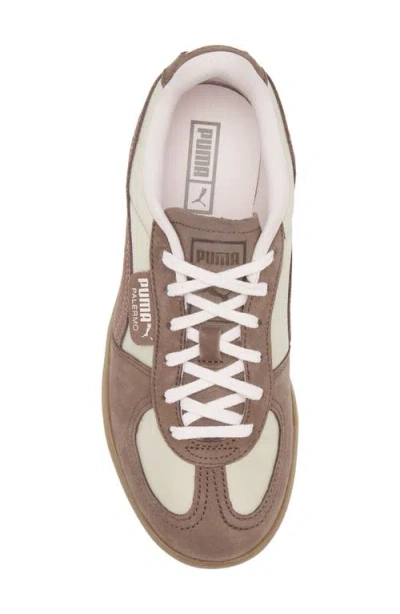 Puma Palermo Elevata Platform Sneaker In White