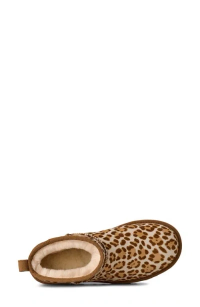 Ugg Stivaletto Donna Classic Ultra Mini Felicity Leopard Jasmine In Brown