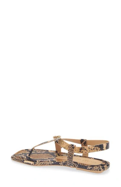 Stuart Weitzman Benni Slingback Flat Sandal In Brown