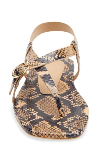 Stuart Weitzman Benni Slingback Flat Sandal In Brown