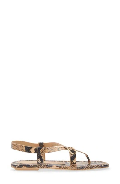 Stuart Weitzman Benni Slingback Flat Sandal In Brown