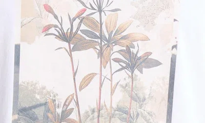 Ted Baker Floral Graphic T-shirt In White