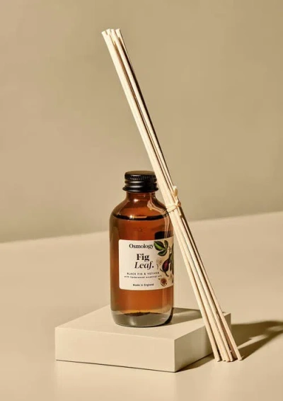 Osmology Fig Leaf Amber Diffuser In Multi