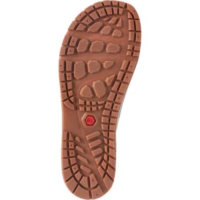 Astral Techyak Water Shoe In Multi