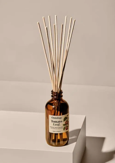 Osmology Tomato Leaf Amber Diffuser In Brown
