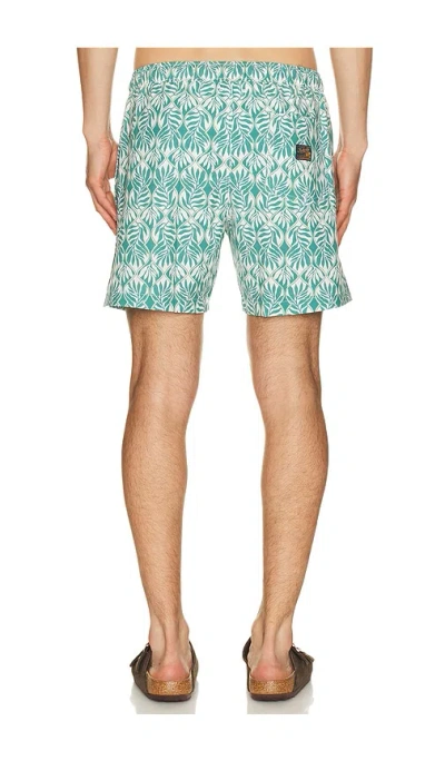 Faherty All Day Trunks 6 Biscayne Leafy Vine In Multi