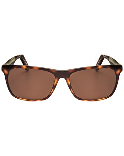 Sandro Men's 56mm Sunglasses In Brown