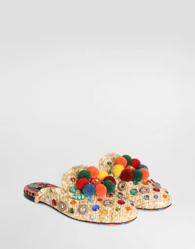 Dolce & Gabbana Sabot/mule In Multi