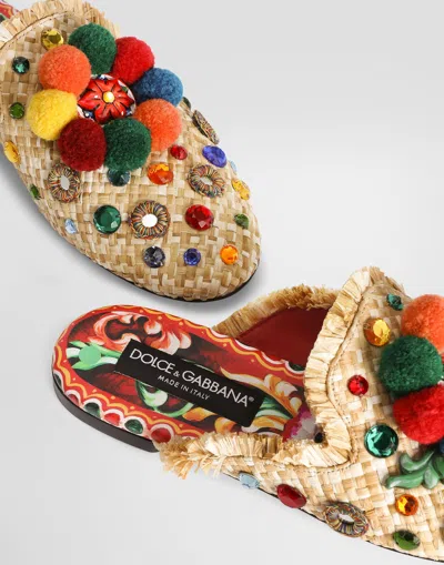 Dolce & Gabbana Sabot/mule In Multi