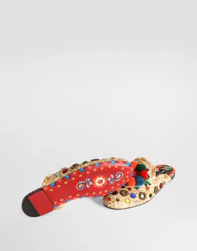 Dolce & Gabbana Sabot/mule In Multi