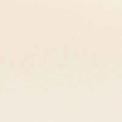 Riviere Leather Barcelona Tray In Multi