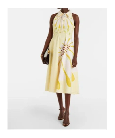 Dorothee Schumacher Floral Power Floral Cotton-blend Midi Dress In Neutral