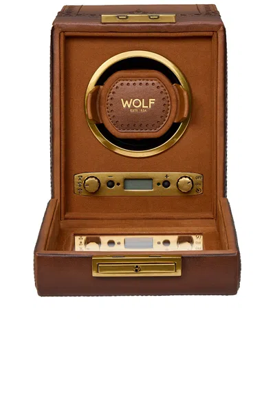 Wolf Brogue Single Winder In Brown