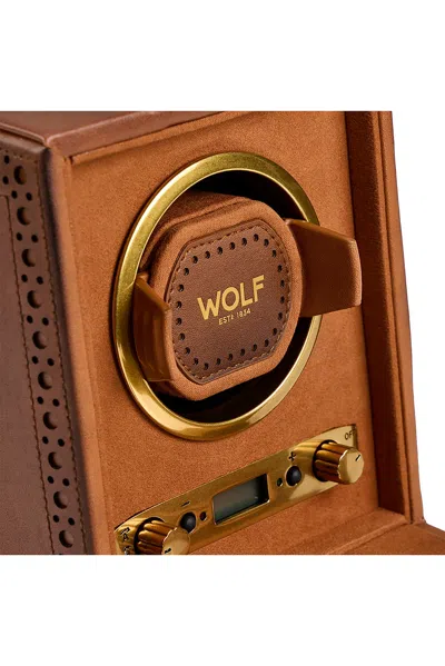 Wolf Brogue Single Winder In Brown