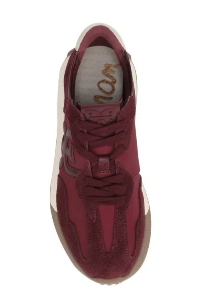 Sam Edelman Langley Sneaker In Burgundy