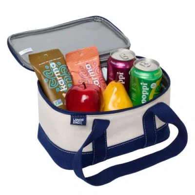 Lands' End Rectangular Small Cooler Bag Insulated 1.5 Gal In Multi
