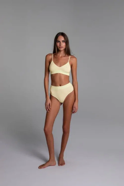 Ldma High Sculpt Brief In Multi