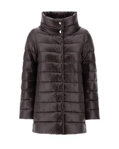 Herno Amelia Quilted Nylon Down Jacket In Brown