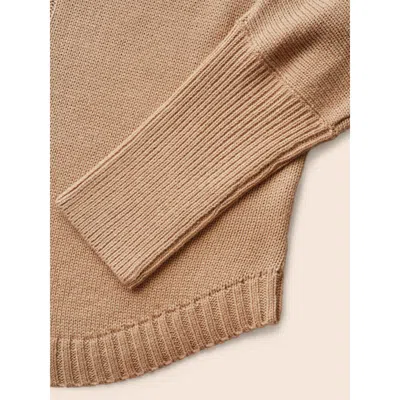 Bloomchic Plain Dolman Sleeve Arc Hem Pullover In Brown