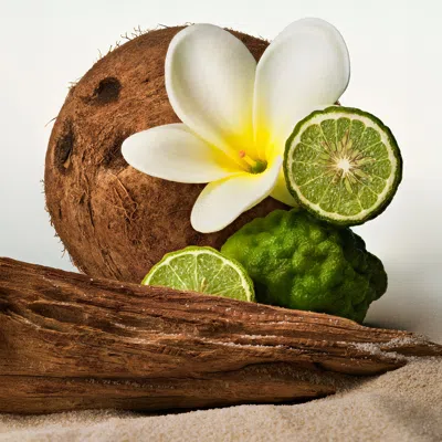 Phlur Beach Skin