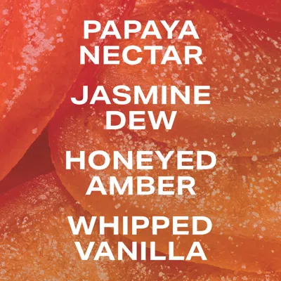 Phlur Vanilla Nectar