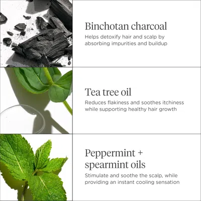 Briogeo Scalp Revival Charcoal + Tea Tree Cooling Hydration Mask For Dry, Itchy Scalp 6 oz/ 177 ml In Default Title
