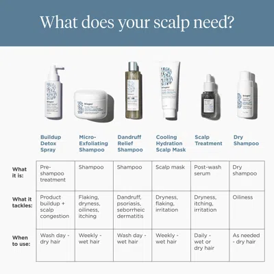 Briogeo Scalp Revival Charcoal + Tea Tree Cooling Hydration Mask For Dry, Itchy Scalp 6 oz/ 177 ml In Default Title