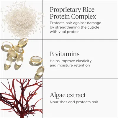 Briogeo Don't Despair, Repair! Rice Water Protein + Moisture Strengthening Hair Treatment For Dry + Damaged In Default Title