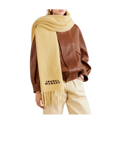 Isabel Marant Firny Fringed Embroidered Alpaca-blend Scarf In Brown