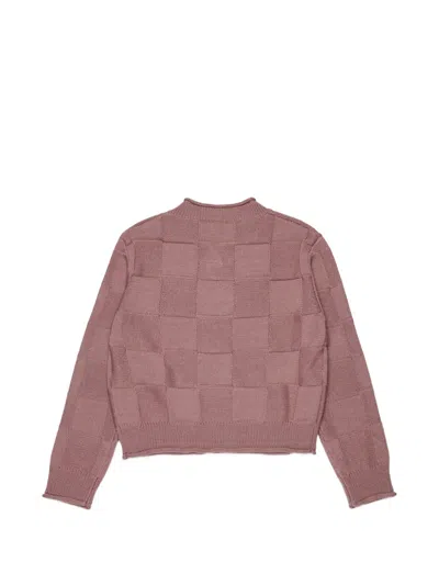 Max & Co 체커보드 니트 로고 디테일 스웨터 In Pink